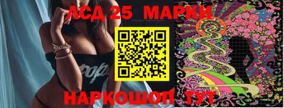 шишки Кандалакша