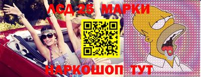 шишки Кандалакша