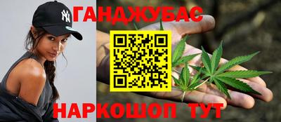 шишки Кандалакша