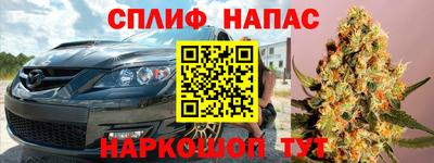 шишки Кандалакша