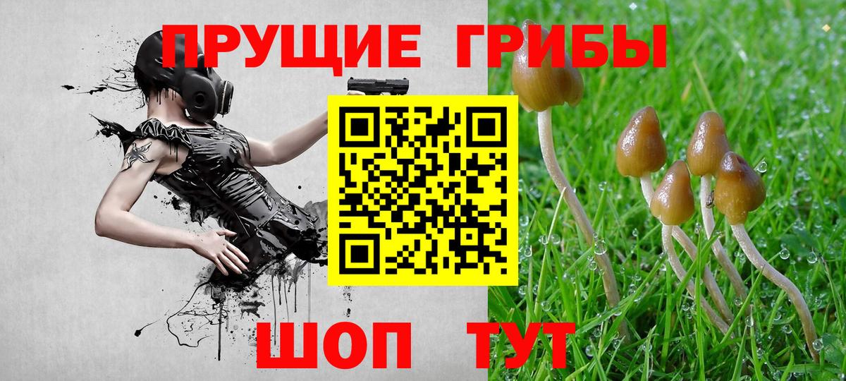 Галлюциногенные грибы прущие грибы  Вход с VPN  Магнитогорск  Галлюциногенные грибы прущие грибы 