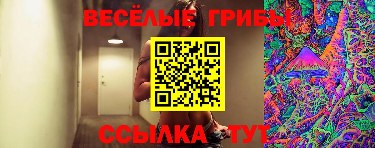 Галлюциногенные грибы Cubensis Магнитогорск